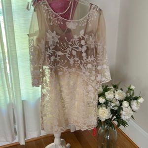 Ombré appliqué overlay dress